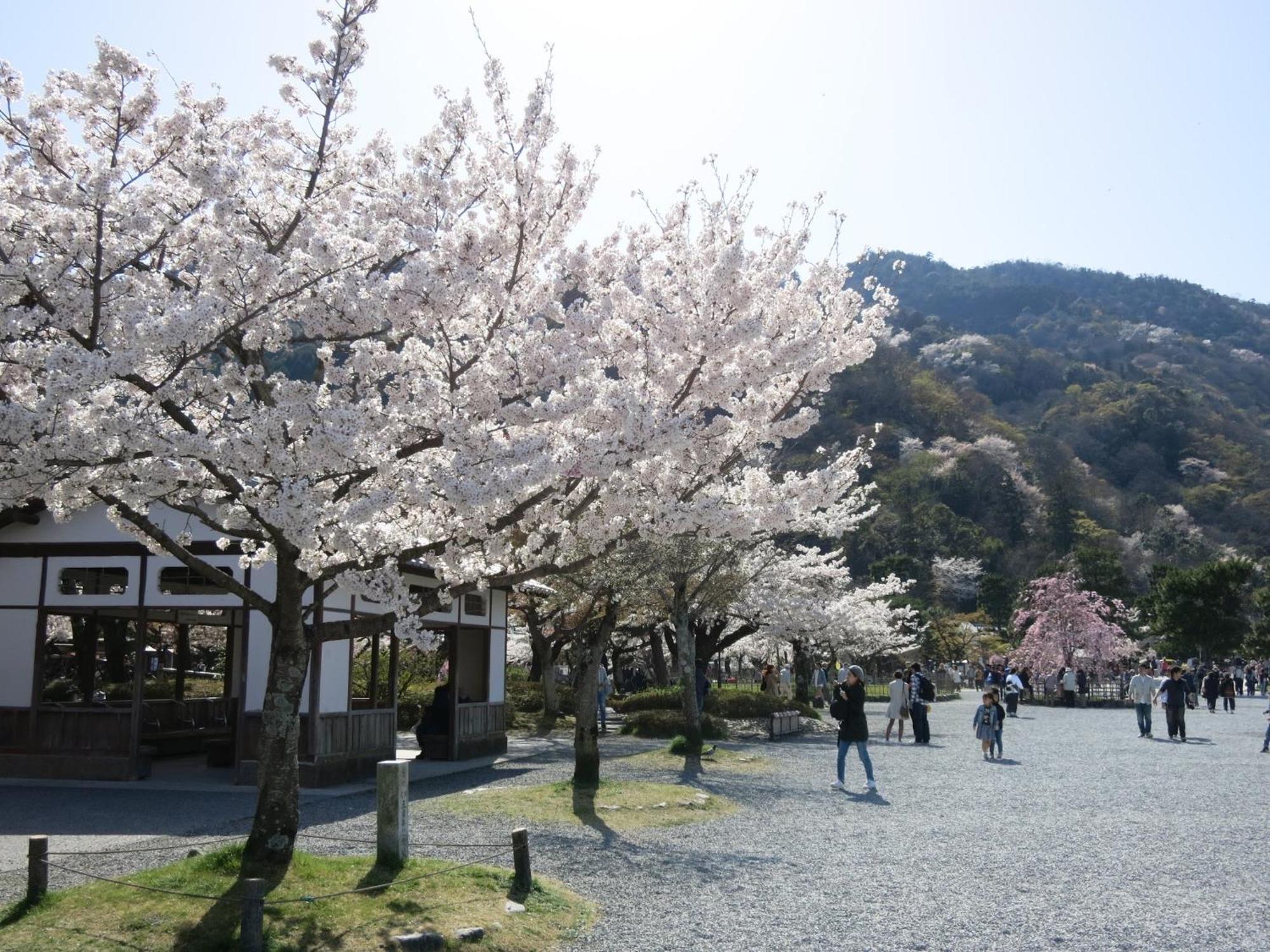 The Grandwest Arashiyama Aparthotel Kyoto Eksteriør bilde